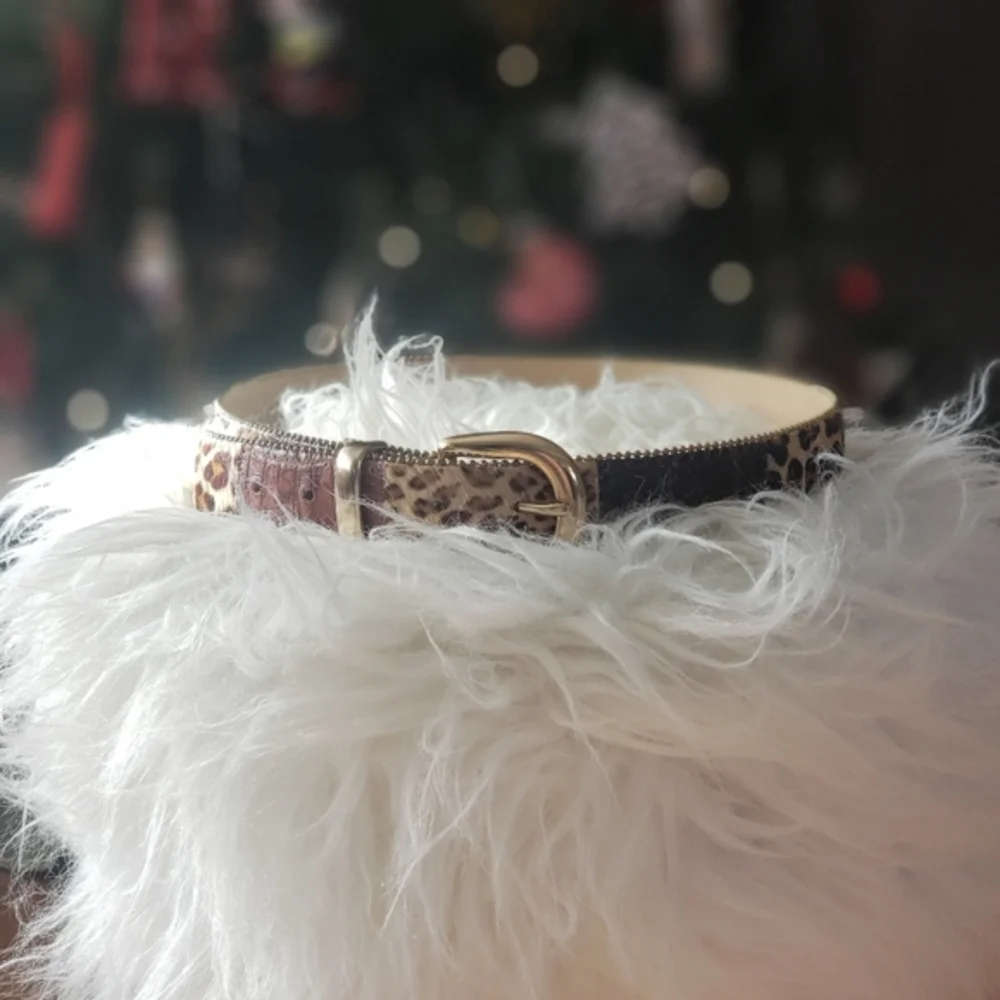 Animal print and‎ gold leather belt